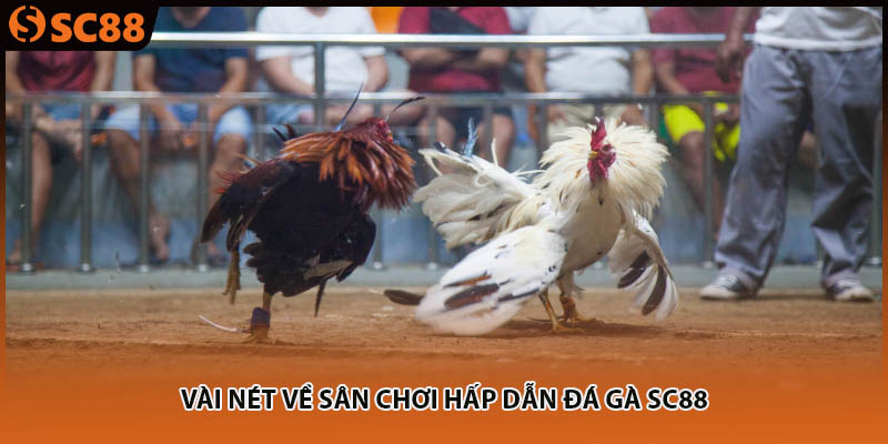 Vài nét về sân chơi hấp dẫn đá gà SC88